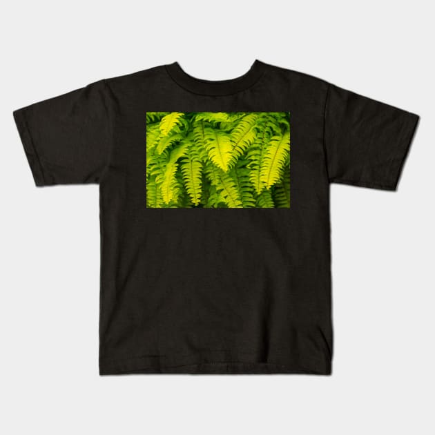 Lush ferns. Kids T-Shirt by sma1050